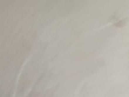 百分数的简单计算