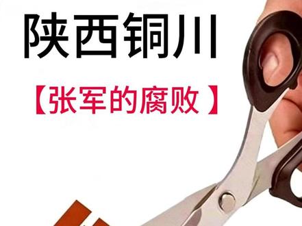 铜川市宜君县市场监督管理局原四级调研员张军的腐败 #大案纪实 #真实案例 #案件故事 #反腐倡廉 #案件解说