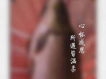 今天7月13号下午魔杖主线1`5子线0.8轻松控五,六斤鲤鱼!