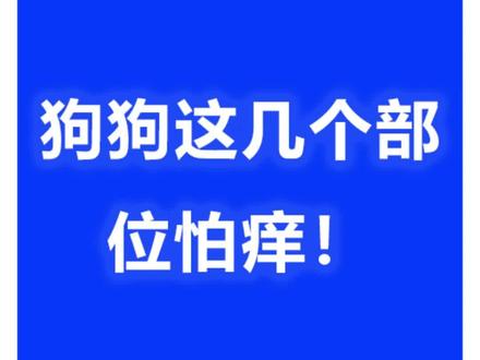 狗狗最怕痒的部位!#狗狗 #科学养宠攻略 #新手养狗 #狗狗日常 #养狗
