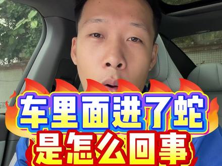 车里面进了蛇是怎么回事 #粤语 #交通