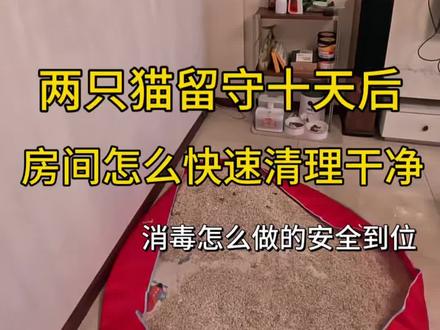 两只猫留守十天以后 怎么给快速给家里打扫干净
#养猫 #猫咪留守 #养猫租房 #养猫人 #打扫卫生