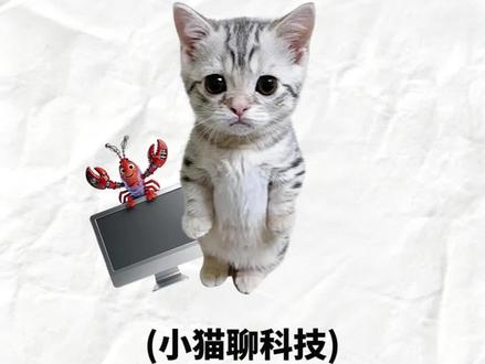 怎么安全养龙虾 #科技 #知识 #龙虾 #openclaw #猫meme