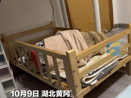 10月9日,湖北黄冈,狗狗睡梦中疯狂打呼噜“说梦话”,主人:白天玩太嗨,晚上做梦了。网友:我都怕它忙不过来