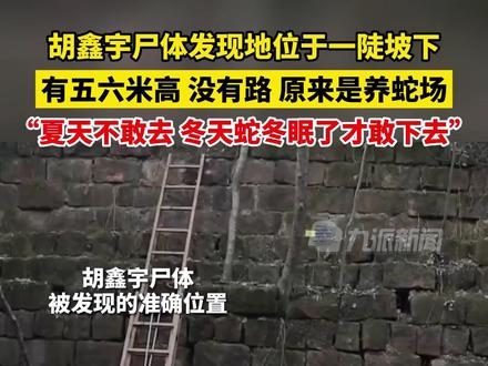 2月2日,江西铅山,#胡鑫宇尸体发现地位于一陡坡下 :有五六米高,没有路,原来是养蛇场,夏天不敢去,冬天蛇冬眠了才敢下去。