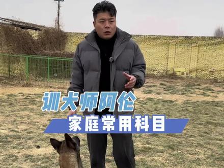 家庭养狗,想让狗狗听话,只需要植入这几个口令就可以了。#狗狗 #训犬教程 #训狗经验分享 #宠物训练 #训犬学校