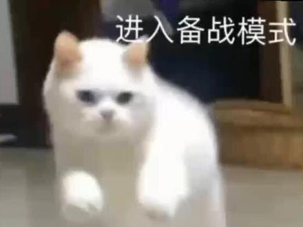 讯飞输入法密语教程#讯飞输入法隐藏功能