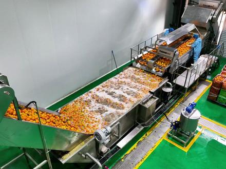 秭归脐橙深加工“破圈” 果乐迪果汁厂投产拓宽富民路(记者:郑涛 周仕伟 通讯员:史丽 彭强)#秭归 #秭归脐橙 #果乐迪 #果汁 #脐橙加工