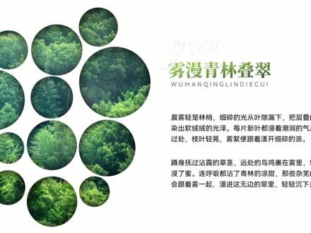 PPT一张图一句话怎么排版才好看 #ppt #ppt教学 #ppt模板 #ppt技巧 #office办公技巧