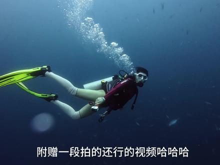 当时我在水下17m(刚从30m升上来的)🙂🙃下水前一定要检查好装备 人教人教不会 事教人一次就会😭#水肺潜水 #潜水有哪些危险 #鲸鱼 #神秘园