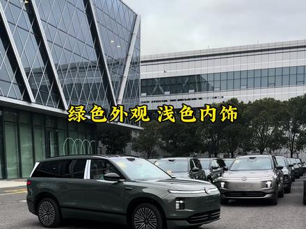 上汽大众ID. ERA 9X绿色外观,浅色内饰,属于大众的高级感这不就来了嘛!#上汽大众 #大众9系 #新能源电动汽车 #idera9x #看大众驭势而上