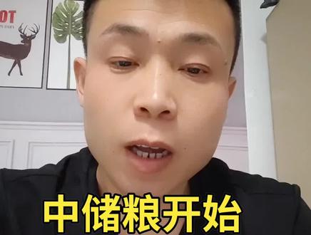 中储粮开始2025年轮换小麦收购#三农#新农人