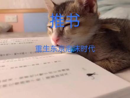 推书《重生东京泡沫时代》#网文 #小说推荐