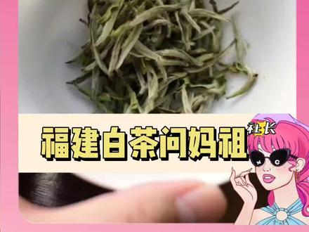 找正宗福建白茶 还得看妈祖#福建白茶 #福建 #妈祖