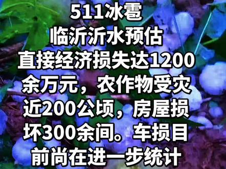 天有不测风云,今年水果蔬菜要贵了 #果树落花落果