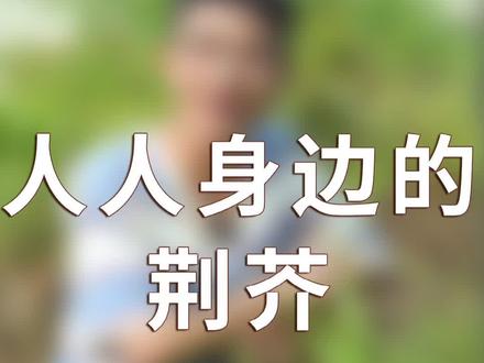 这个东西估计只有河南人知道,一口下去满满的家乡味道,你们那里叫什么?#新农人计划2021