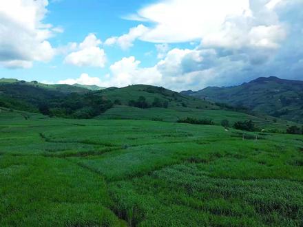 《沧源:斩断基层违规乱收费之“手”》