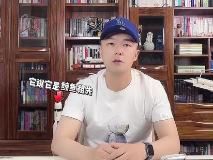 鲸鱼的近亲居然是河马?哺乳动物鲸鱼如何从陆地走向海洋的? #鲸鱼 #海洋哺乳动物 #奇妙知识在抖音 #抖音自然