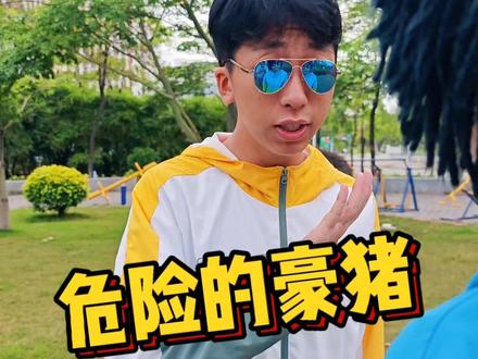 明明是猪却长满了刺的豪猪 #科普 #涨知识 #寓教于乐