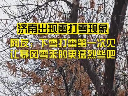 济南出现雷打雪现象,网友:下雪打雷第一次见。#下雪打雷#雷打雪 (来源:@米宝的妈咪)
