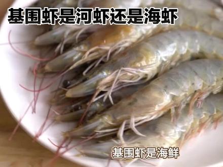基围虾是海鲜还是淡水虾?了解真相#基围虾#虾 #大虾 #基围虾 #海虾 #对虾 #河虾 #白灼虾 #野生虾 #活虾 #虾搞计划