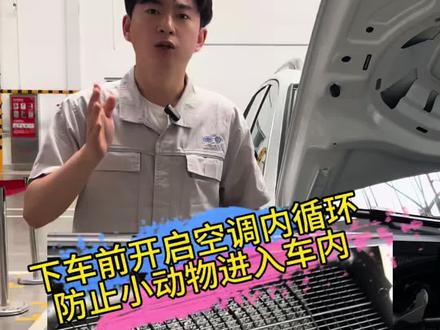 不想被蛇、鼠钻进车内,下车前记得开启内循环!#防止小动物进入车内 #用车知识科普 #汽车安全小常识 #每天一个用车小知识 #用车常识