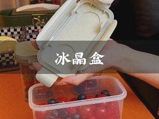夏天上班、上学带水果很方便,自带冰晶盒,保冷保鲜4/5小时!#冰盒#移动小冰箱#抖音618好物节#好物分享