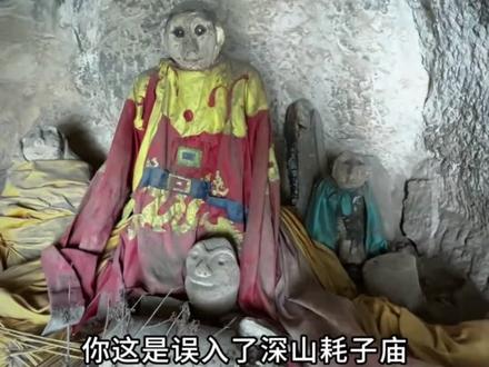 野外遇到这些情况,“跑”or“不跑”?#涨见识 #户外探险 #荒山野岭