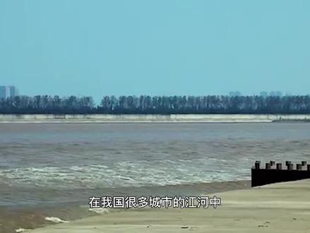 别人求之不得的龙脉,为何却被杭州建塔镇压?背后真相到底是什么#神秘#传说#揭秘#奇闻奇事#我要上热门#科普