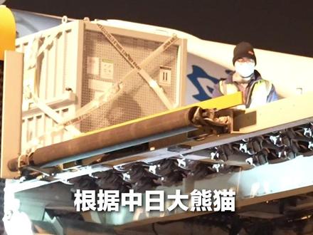 欢迎回家!旅日大熊猫“晓晓”和“蕾蕾”平安接返回国。