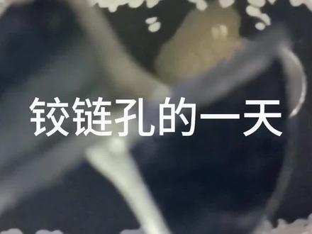 沉侵式体验铰链孔的一天#铰链安装