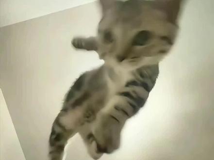 第四届渲染大赛#三角洲行动#深蓝#p图教程