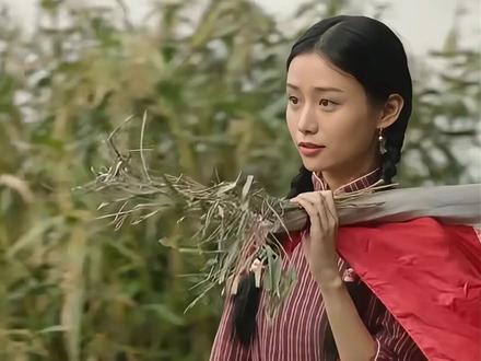 解读《给阿嬷的情书》的隐藏泪点:一杯茶,是潮汕人的第二语言 最近被《给阿嬷的情书》整破防了😭
但作为一个研究茶史的人,我注意到一个所有人都忽略的“隐藏主角”——潮汕工夫茶。
🍵三个细节,每一处都是密码:
1️⃣ 阿嬷老屋的茶具——永远三只杯。潮汕老话“茶三酒四”,三杯轮着喝,主客长幼有序。这不是喝茶,这是人情秩序。
2️⃣ “先喝茶,边喝边看”——泰国长辈拿出信,不急着让看。潜台词:你是自己人,茶喝开了,话才说得开。
3️⃣ 茶杯装酒——父女对饮,茶盘上的杯子装了酒。说不出口的话,借着这个“越界”就倒出来了。
📜为什么潮汕人把茶叫“茶米”?
一个“米”字,方言里绝无仅有。茶是刚需,是第四餐。“宁可三日无米,不可一日无茶”。
🚢红头船下南洋,老华侨包袱里都塞着一包茶。“什么都可以丢,唯独这包茶不能丢”——茶是苦的像生活,回甘的像希望。带上它,就带上了家的味道。
📮茶,是比侨批更古老的“味觉侨批”。百年前凤凰单丛“墙内开花墙外香”,仅柬埔寨金边就有20多家潮汕茶铺,年销20万斤。侨批会断,但茶不会断。
💌潮汕人不说“我想你”,而是——“来,食茶”。
有潮水的地方就有潮汕人,有潮汕人的地方,就有一壶滚烫的凤凰单丛。
🍵它是一杯茶,也是一封跨越时空的情书。
你注意到电影里的茶了吗?评论区聊聊👇
#给阿嬷的情书 #茶 #潮汕 #凤凰单丛 #电影解读@饭饭简说历史