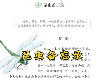 #朗读 #人教版 #三年级语文下册 课文第4课《昆虫备忘录》~~成年人重读小学课本系列~~
