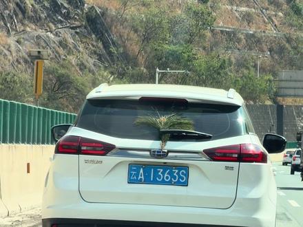 为什么云字头的车牌都挂松针? #自驾游风景
