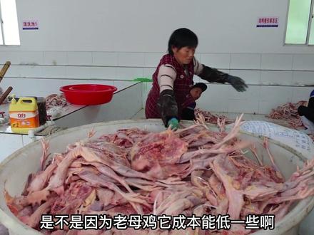 湖北大哥用淘汰蛋鸡做千年御菜,蛋鸡100元5只都买不到,旺季日晒5万只,年卖100万只#湖北美食 #淘汰蛋鸡 #分享家乡特产