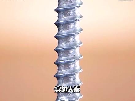 书名《长生祖龙》 更多精彩后续在 #QQ阅读