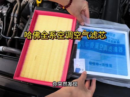 哈弗任何车型保养前,提前自己动手换一个空气滤芯和空调滤芯,安装非常简单#哈佛 #长城汽车 #保养#空调
空气滤芯更换
