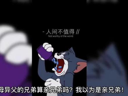 海涛话“同母异父的兄弟是亲兄弟吗”?#家庭 #每天跟我涨知识 #做智慧父母培养优秀孩子 #社会百态 #关注我每天分享不同的故事