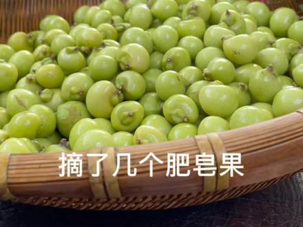 秋季给自己做个无患子养发皂#花园生活