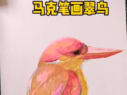 #创作灵感 马克笔画翠鸟,十几分钟的教学视频,硬生生的缩短成十几秒#马克笔手绘 #教你学画画
