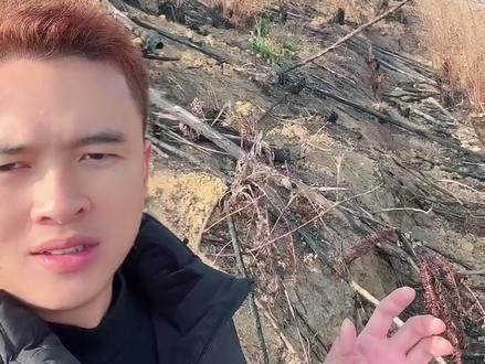 更种清山你是用哪种方法呢?