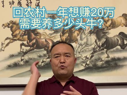 回农村一年想赚20万,需要养多少头肉牛?#养殖 #养牛人 #养牛#农村创业养殖 #三农