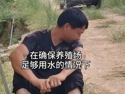 你敢相信吗,这个井打到196米时出大水,成了罕见的自流井,目测每日水流量不少于1500立方,可供一个大型养殖场和山下千亩农田灌溉。#打井钻井 #现场实拍 #户外 #农田灌溉 #上热门抖音小助手