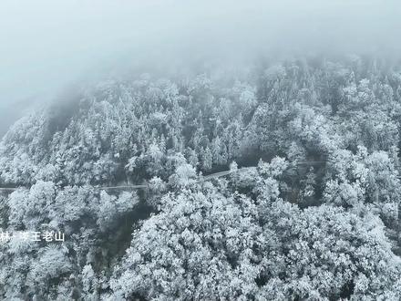 用《生命树》打开百色,我可以向你描述这里的一切,但不如你来看看!#杨紫 #生命树 #百色文旅 #行在千姿百色里