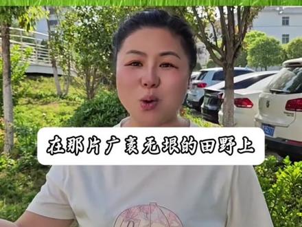 田野上的生机#作文 #作文素材 #语文