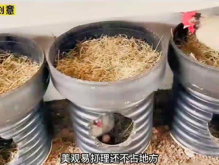 0成本制作上下铺鸡窝,你绝对没见过!谁看谁会超简单!#创意发明 #变废为宝 #手艺人 #手工制作 #鸡窝