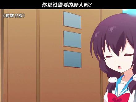 猫猫治愈一切! #猫咪日常 #每周B看