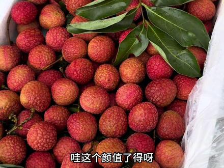 无荔枝不夏天…整车白糖罂荔枝开炸……#嘉兴老何水果 #老何严选 #荔枝 #白糖罂荔枝