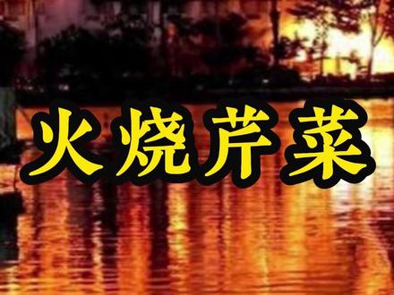 一把火烧没了一个经济特区! #汕头迎宾馆 #科普